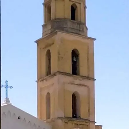 Cinghiale Bianco Cagliari
